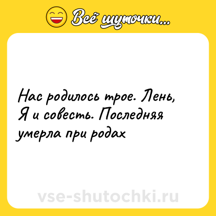 Шутка: Нас родилось трое. Лень, Я и совесть. Последняя умерла при родах