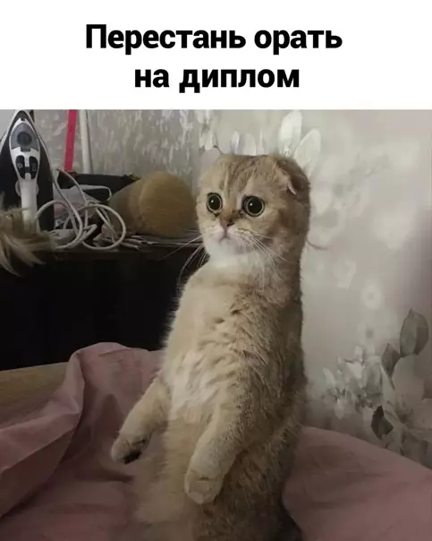 продолжение Смешная картинка №561912