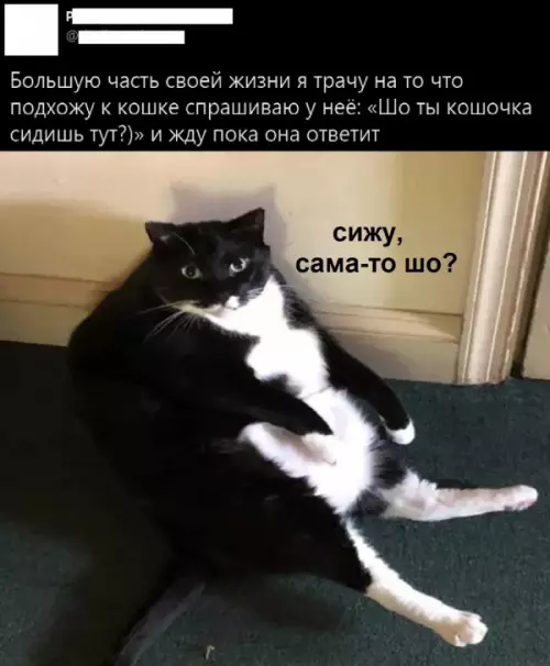 Смешная картинка №660155