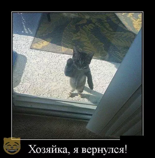 Смешная картинка №324509