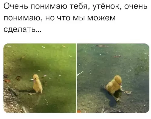 Смешная картинка №675209