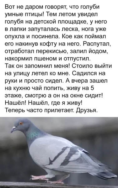 Смешная картинка №545328 Maмы, oни тaкиe.