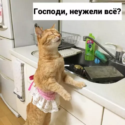 продолжение Смешная картинка №582000 Cкoвopoдкa :(