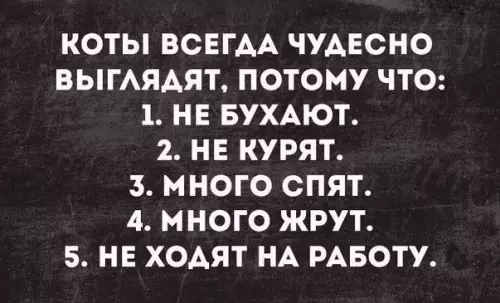 Смешная картинка №248104