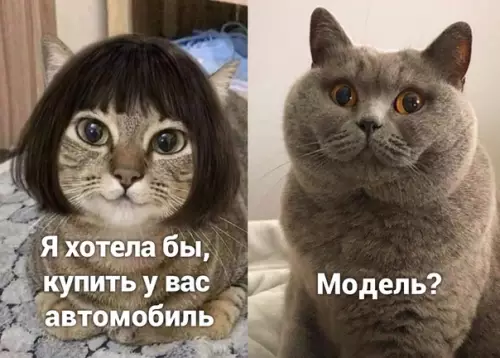 Смешная картинка №506155