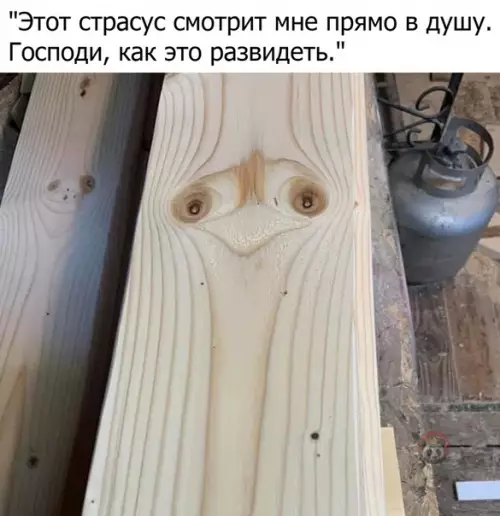 Смешная картинка №482131 Как теперь уснуть?