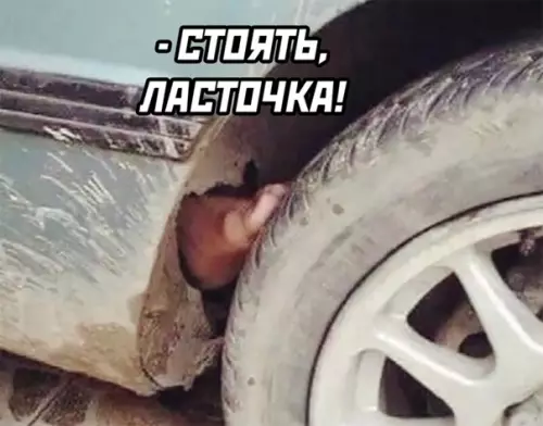 продолжение Смешная картинка №563276