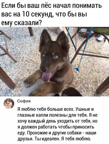 Смешная картинка №476461