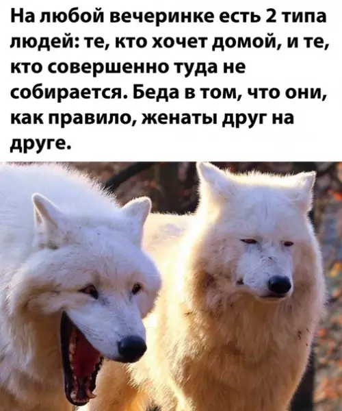 Смешная картинка №520099