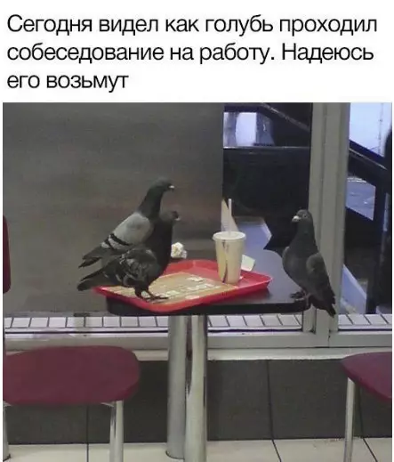 Смешная картинка №252502