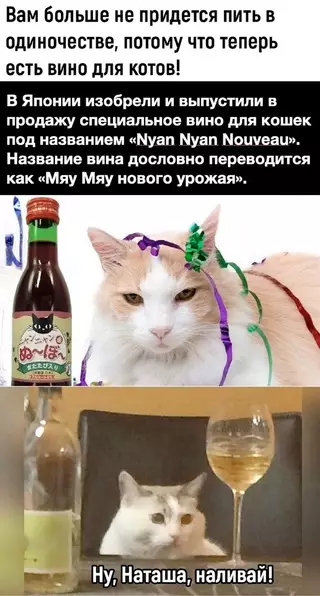 Смешная картинка №684566