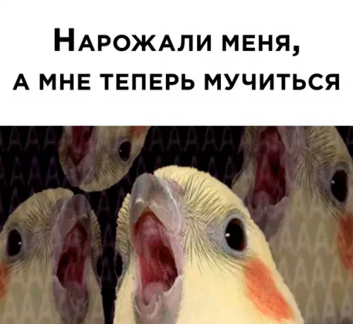 Смешная картинка №617730