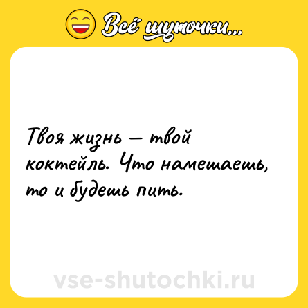 Шутка: Твоя жизнь — твой коктейль. Что намешаешь, то и будешь пить.