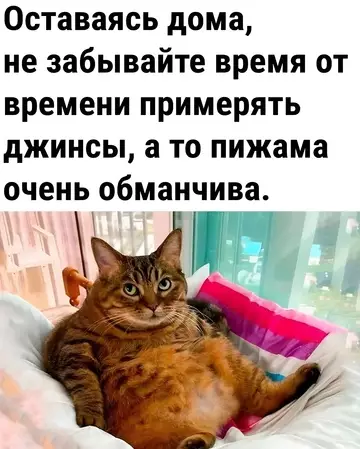 Смешная картинка №743293