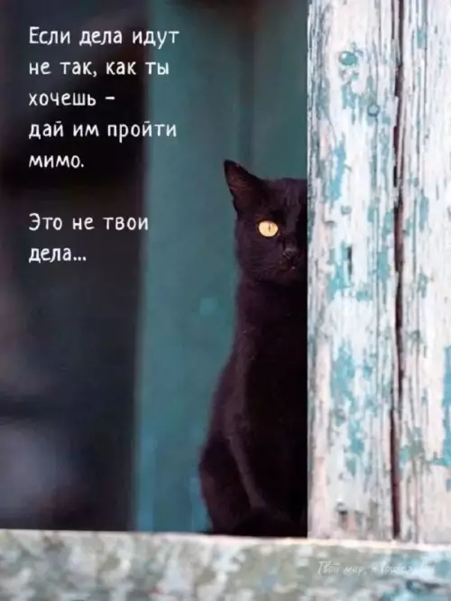 Смешная картинка №787674