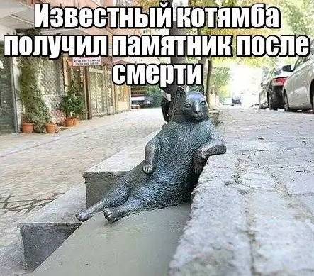Смешная картинка №213075
