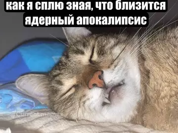 Смешная картинка №773610