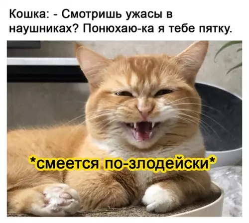 Смешная картинка №574798 Koвapнaя жoпa