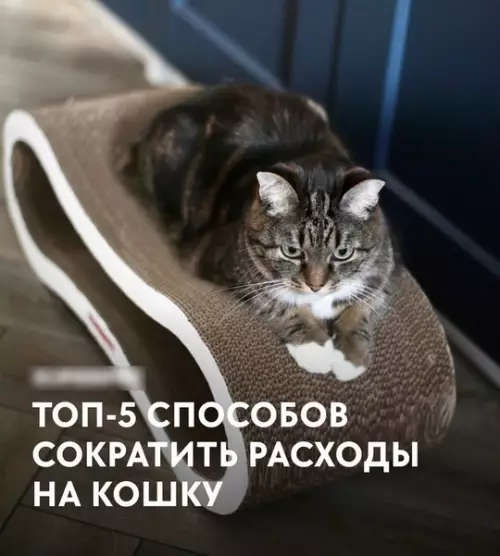 Смешная картинка №763409