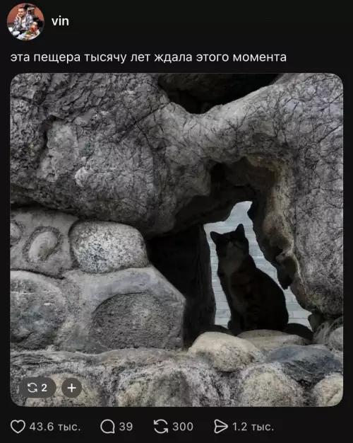 Кот нашел свою идеальную берлогу 🐈 - эта пещера тысячу лет ждала этого момента