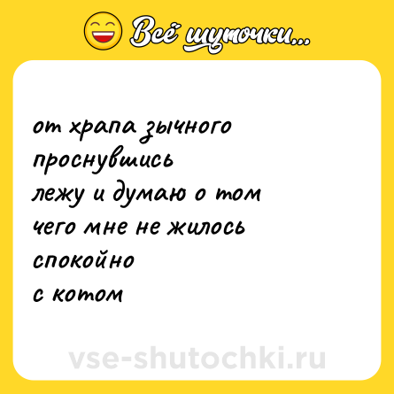 Шутка: от храпа зычного проснувшись<br>лежу и думаю о том<br>чего мне не жилось спокойно<br>с котом