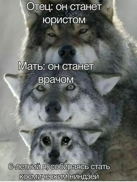Смешная картинка №529043 Жизненная жиза
