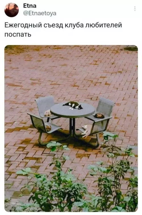 Смешная картинка №789108