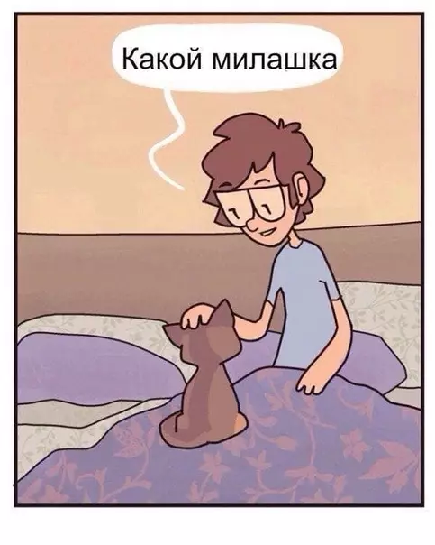 продолжение Смешная картинка №567960 Как-то так