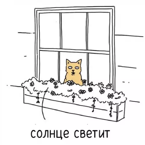 Смешная картинка №757779 Коты