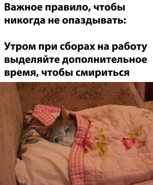 Смешная картинка №537524