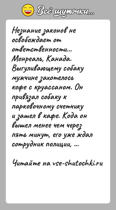 История: Незнание законов не освобождает от ответственности...Монреаль, Канада. Выгуливающему собаку мужчине захотелось кофе с круассаном. Он привязал собаку к парковочному счетчику