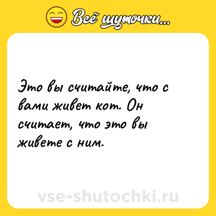 Шутка: Это вы считайте, что с вами живет кот. Он считает, что это вы живете с ним.