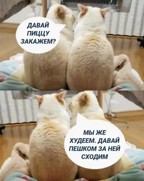 Смешная картинка №666642