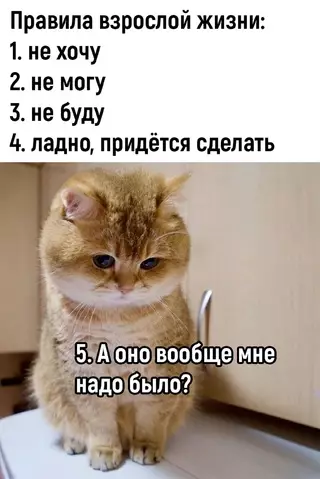 Смешная картинка №692619