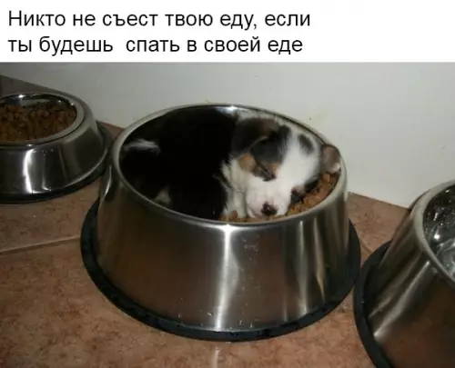 Смешная картинка №352472