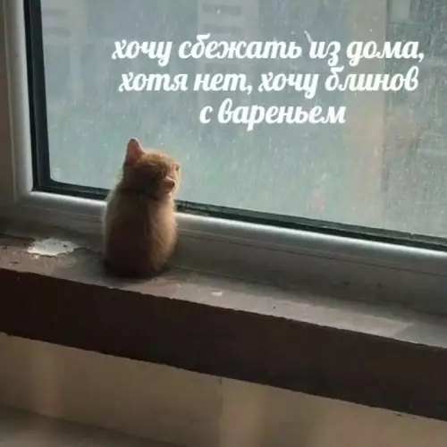 Смешная картинка №671778