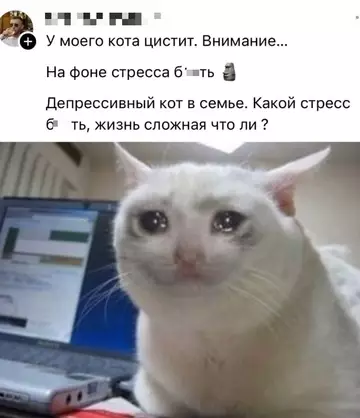 Смешная картинка №767500 Много проблем