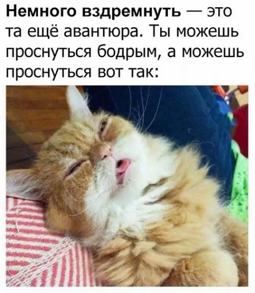 Смешная картинка №207510
