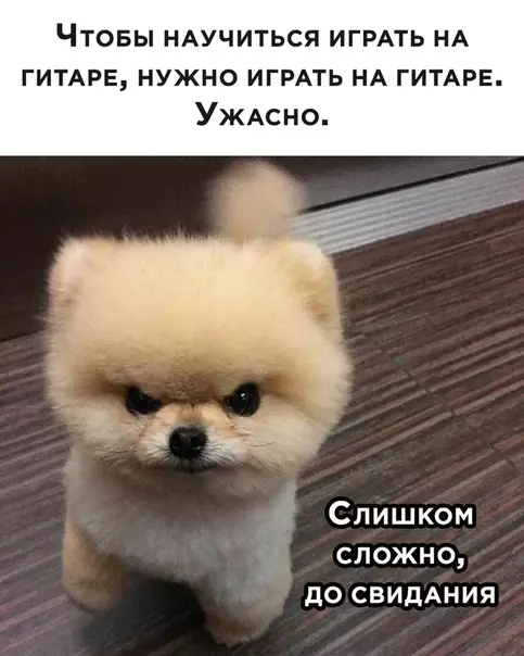 Смешная картинка №505476