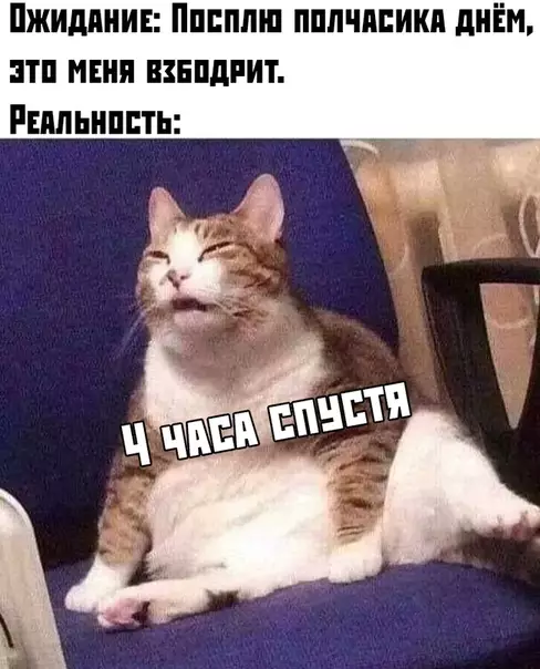 Смешная картинка №395563