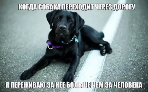 Смешная картинка №176268