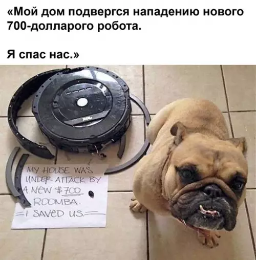 Смешная картинка №495864 дом защитил и теперь спать можно спокойно.