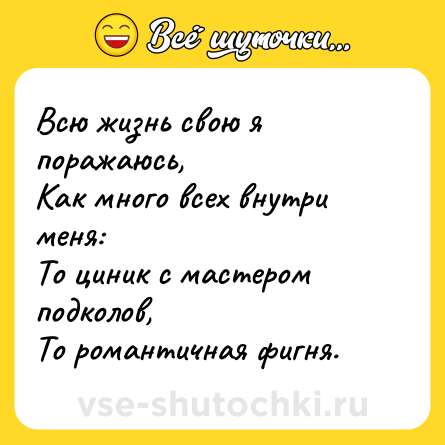 Шутка: Всю жизнь свою я поражаюсь,  <br>Как много всех внутри меня:  <br>То циник с мастером подколов,  <br>То романтичная фигня.
