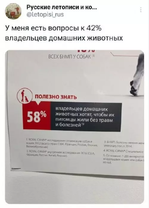 Статистика, которая бьет в самое сердце 🐶💔 - У меня есть вопросы к 42 владельцев домашних животных. ВСЕХ