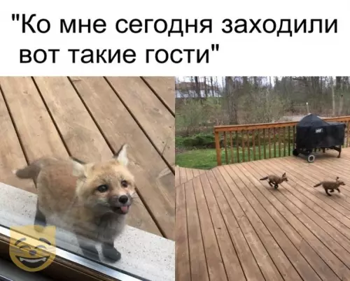 Смешная картинка №377866 #приколы #картинки #мемы ?