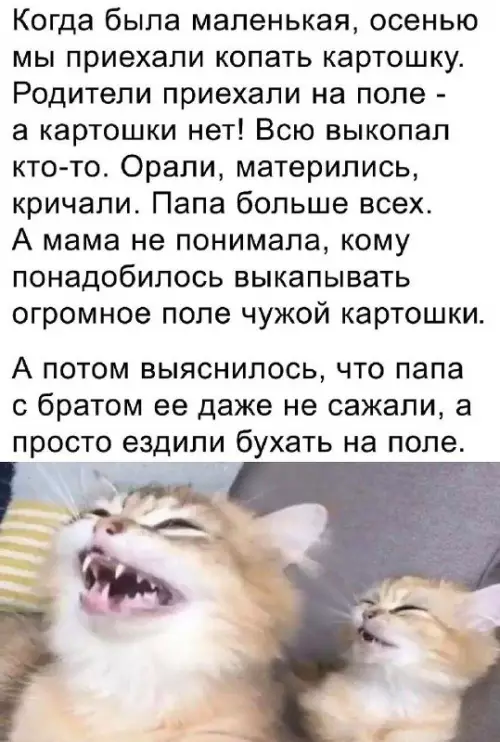 Смешная картинка №733506