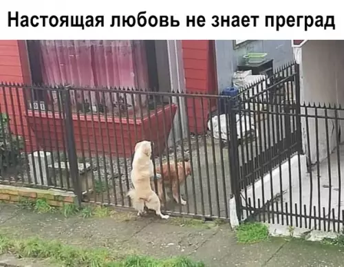 Смешная картинка №360794
