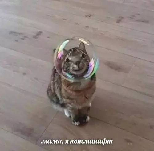 Смешная картинка №696569