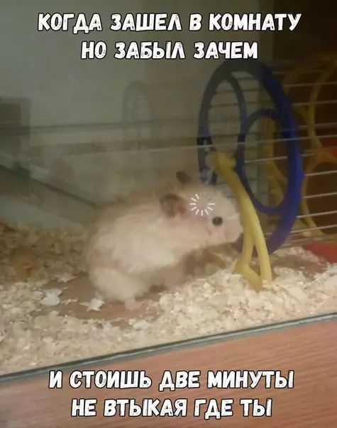 Смешная картинка №243555