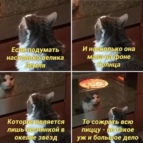 Смешная картинка №661537